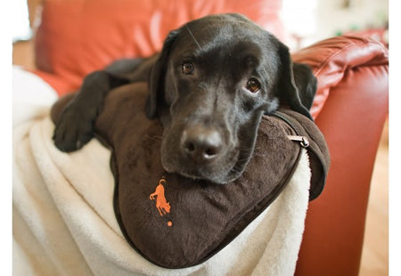 P.L.A.Y.  Big Bone Blanket