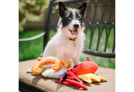 P.L.A.Y.  Under The Sea Toys